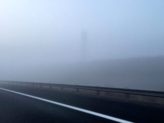 Cod Galben de ceață în județul Călărași FOTO Adrian Boioglu