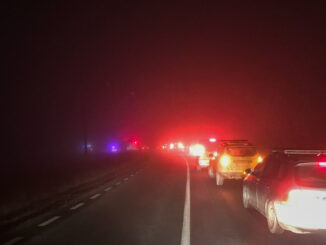 Cod Galben de ceață în județul Călărași. FOTO Adrian Boioglu