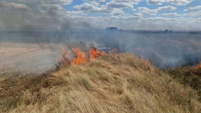 Incendiu de vegetație. FOTO ISU Călărași