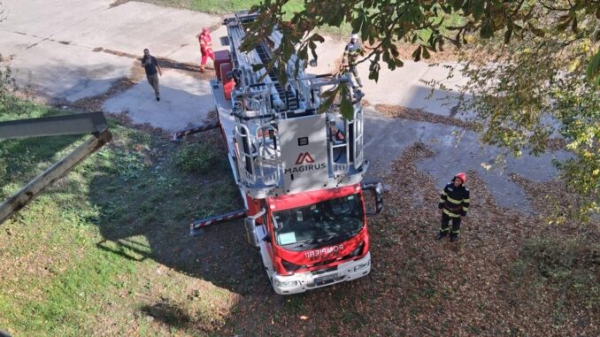 Intervenție a pompierilor. FOTO ISU Călărași
