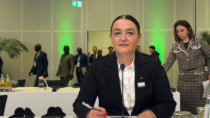 Organizația județeană PSD, reprezentată la nivel internațional prin vocea Violetei Mușat. FOTO Facebook/Violeta Mușat