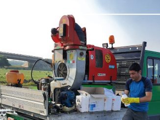 Acțiuni de combatere a insectelor prin tratamente larvicide, luna aceasta, la Călărași. FOTO Primăria Călărași